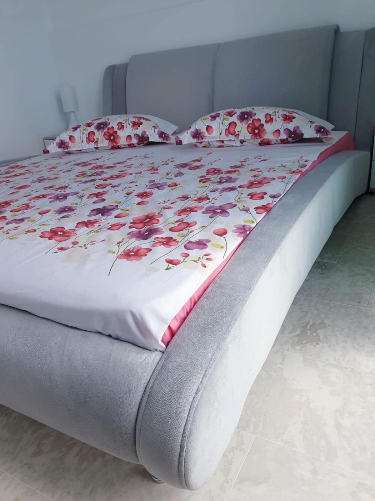 Seafront Papaya Apartment Năvodari Eksteriør billede